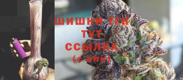 амф Новокубанск