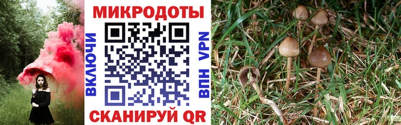 Галлюциногенные грибы Cubensis цена Мантурово